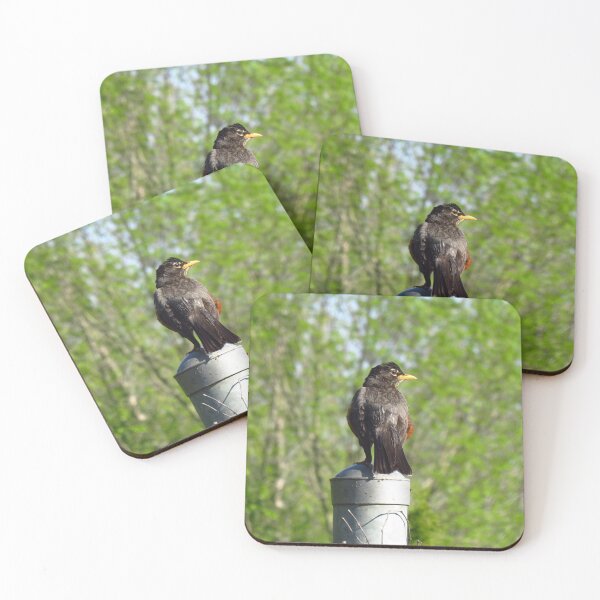 Item preview, American Robin Perched On A Fence Post designed and sold by BackyardBirder.