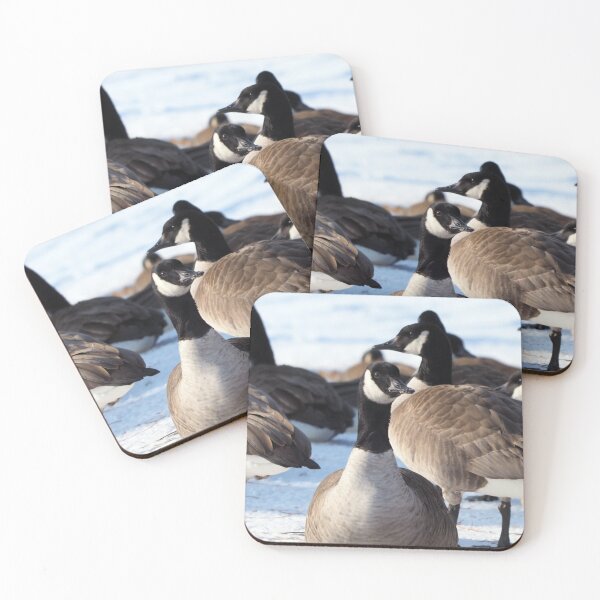 Item preview, Canada Geese Standing In The Snow - Wild Canada Goose Bird designed and sold by BackyardBirder.
