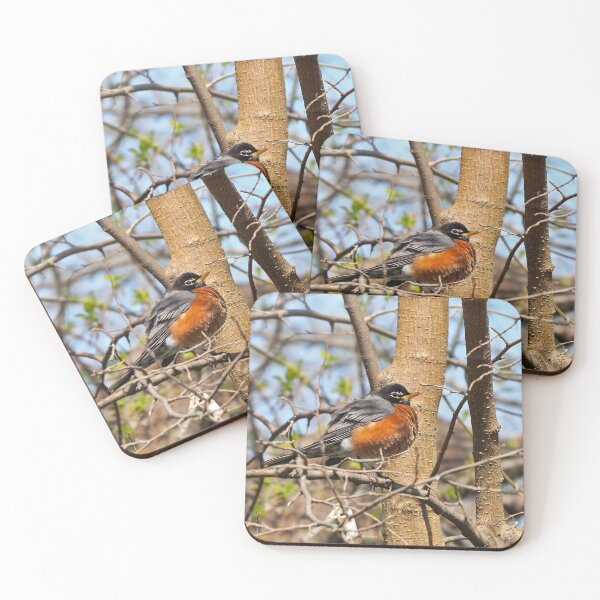 Item preview, American Robin In A Tree designed and sold by BackyardBirder.
