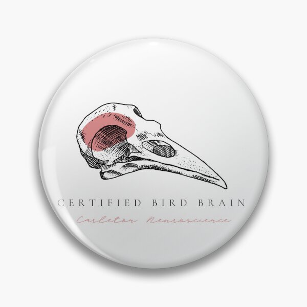Item preview, Certified Bird Brain (White) designed and sold by CUNeuroscience.