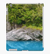 New Zealand Landscape 16 iPad Case/Skin