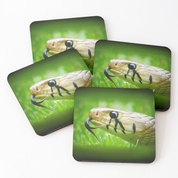 Item preview, Blacktail Cribo Snake Portrait designed and sold by Creatures of Nightshade.
