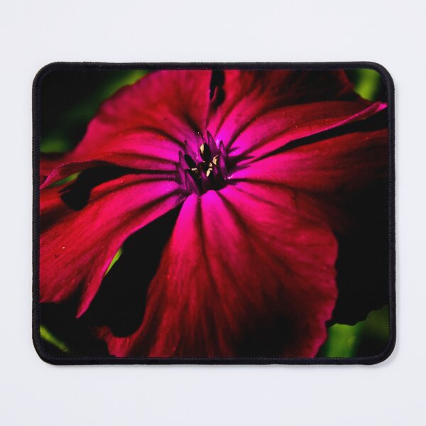 Item preview, Purple Wild Flower designed and sold by Alan Harman.