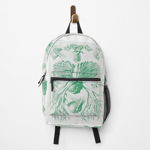 Item preview, Staghorn ferns - Botanical Illustration designed and sold by chimakingthings.