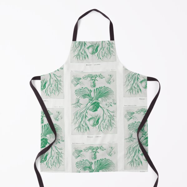Item preview, Staghorn ferns - Botanical Illustration designed and sold by chimakingthings.