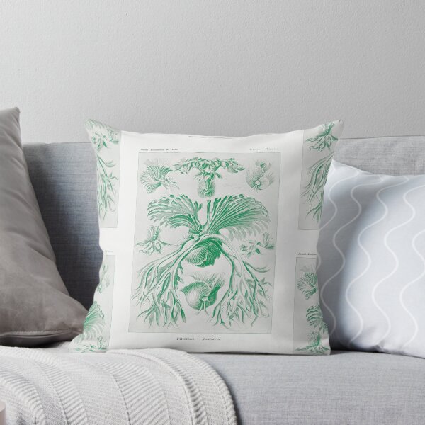 Item preview, Staghorn ferns - Botanical Illustration designed and sold by chimakingthings.