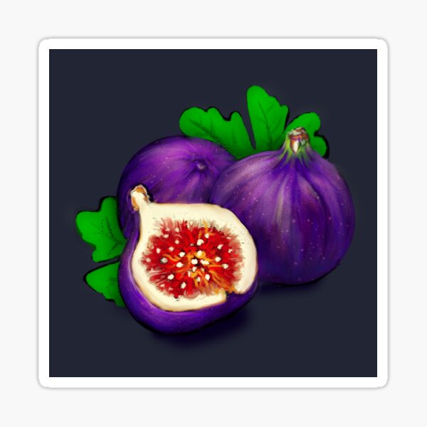 "Figs" Sticker for Sale by charityworks Redbubble