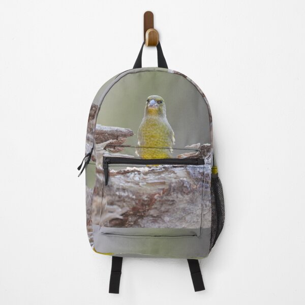 Item preview, Disturbed. European greenfinch designed and sold by Jouko Lehto Photography.