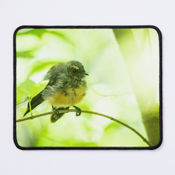 Item preview, New Zealand fantail in tree with defocussed leaves and branches. designed and sold by Brian Scantlebury.