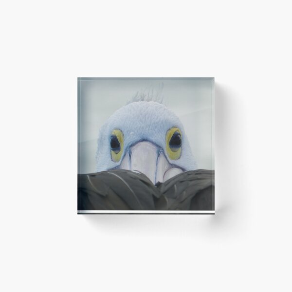 Item preview, Pelican designed and sold by Maria Meijer.