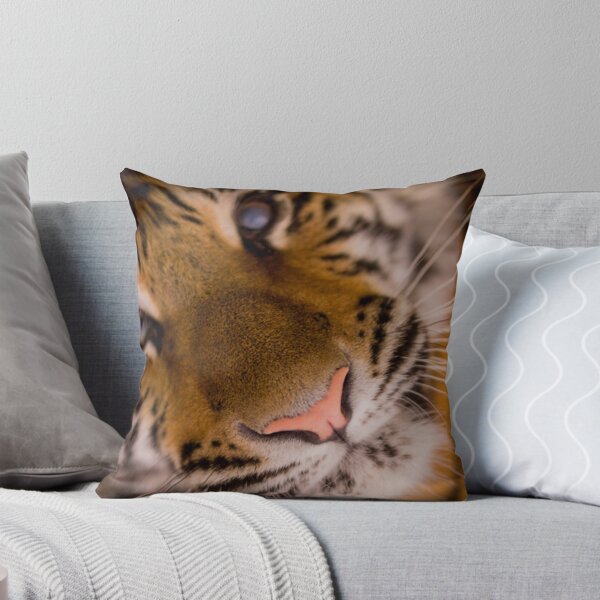 Item preview, Coquette     designed and sold by Fergus-UK.