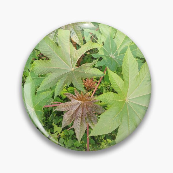 Item preview, Gaba Leaves designed and sold by Saiamrita123.