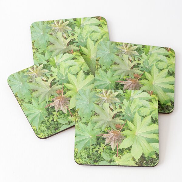 Item preview, Gaba Leaves designed and sold by Saiamrita123.