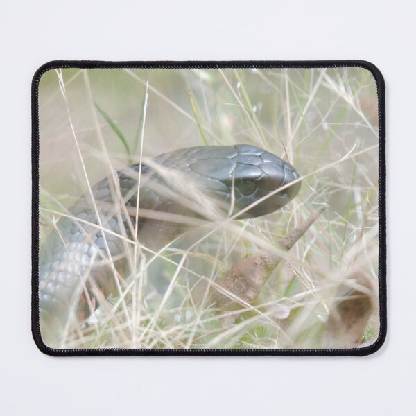 Item preview, Red belly black in grass designed and sold by notjustamwac.