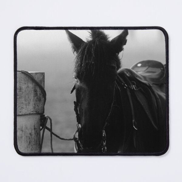 Item preview, horse waiting in fog in black & white designed and sold by FotoMahieu.