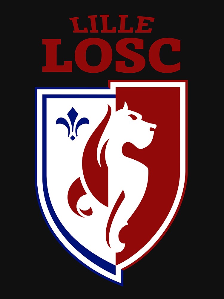 T-shirt Gildan Homme - LOSC Lille - Logo - Taille S à 5XL - Neuf