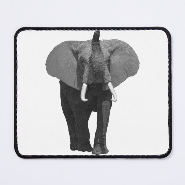 Item preview, Elephant with trunk up in SW - Kenya / Africa designed and sold by TShirtsundMehr.