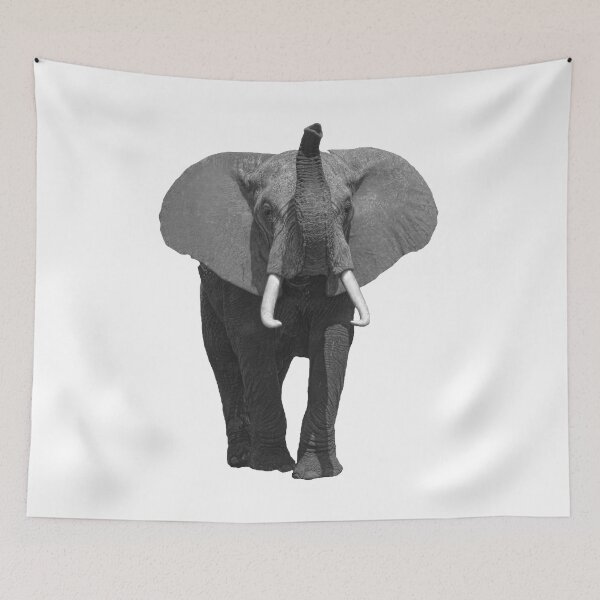 Item preview, Elephant with trunk up in SW - Kenya / Africa designed and sold by TShirtsundMehr.