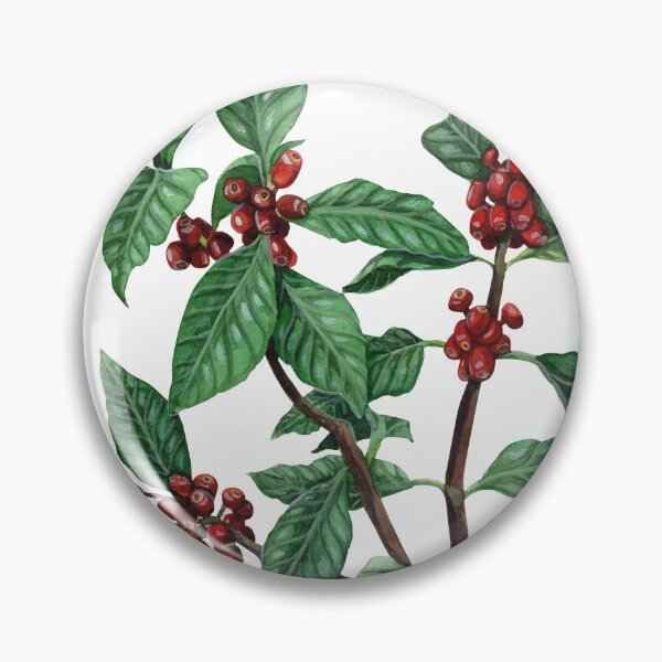 Artikelvorschau, Botanische Illustration Der Kaffeepflanze entworfen und verkauft von Threeleaves.