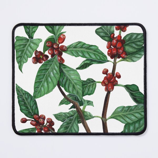 Item preview, Coffee Plant Botanical Illustration designed and sold by Threeleaves.