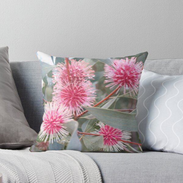 Item preview, Pincushion Hakea designed and sold by Bilby.
