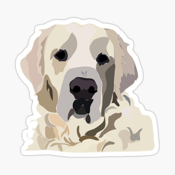 English Cream Golden Retriever Stickers for Sale Redbubble