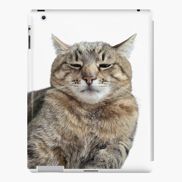 angry cat face meme iPad Case & Skin by auroragalavis