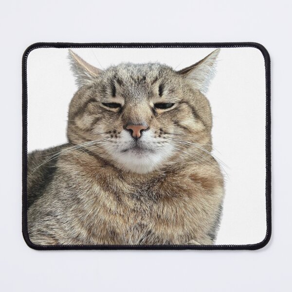 Item preview, cat meme face designed and sold by jassine11.