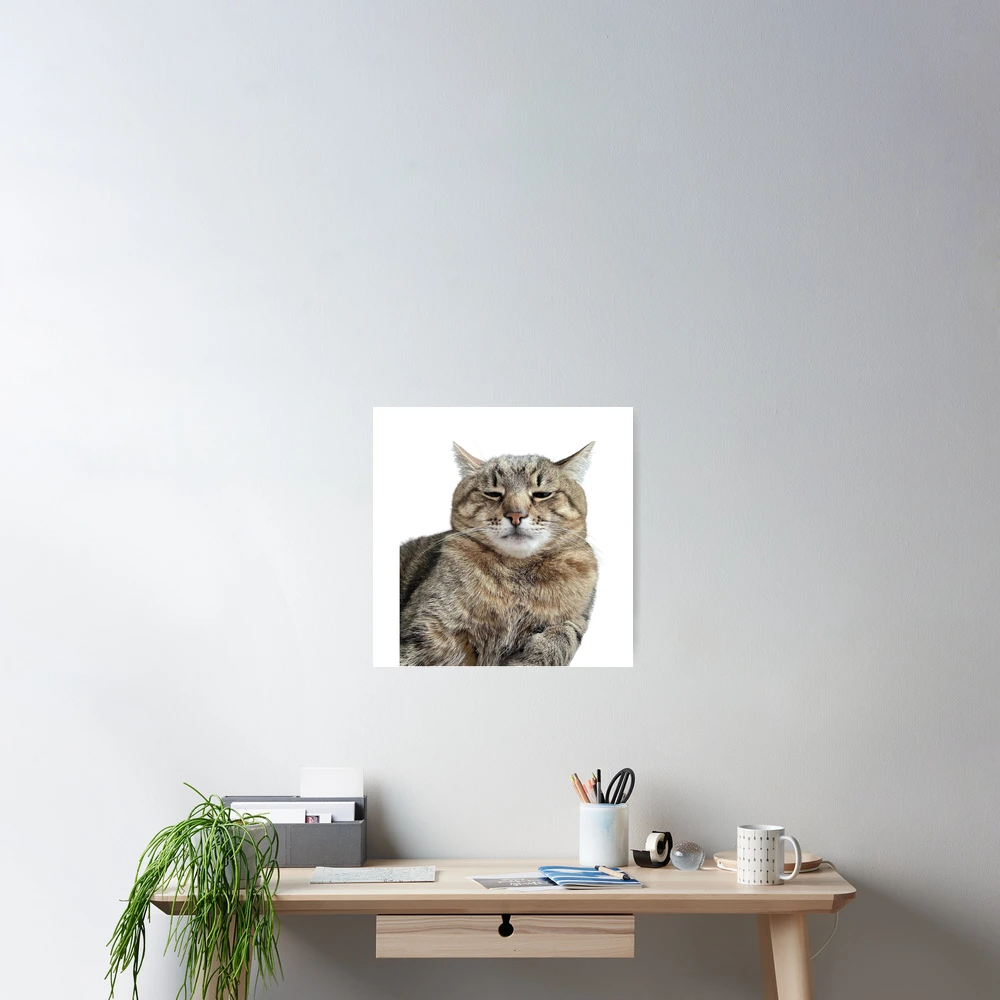 cat meme face, funny cat Photographic Print for Sale by jassine11