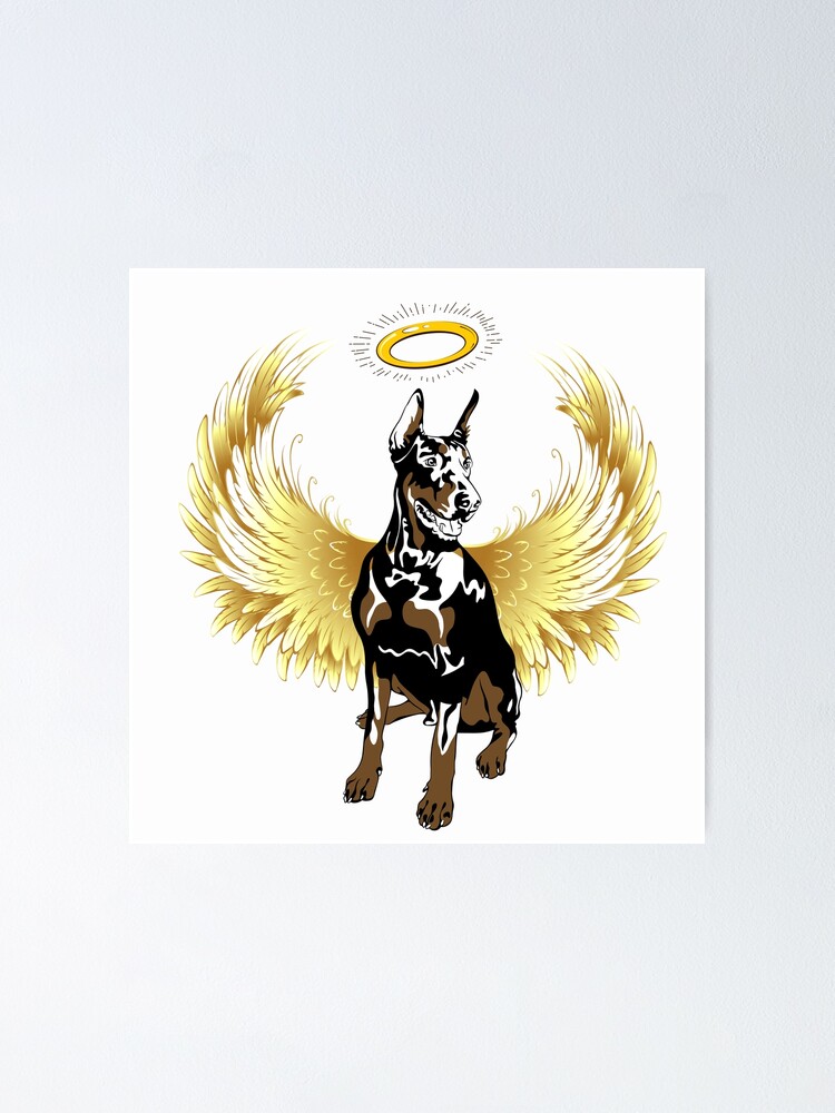 Doberman angel 2024