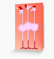Three Christmas Flamingos Greeting Card