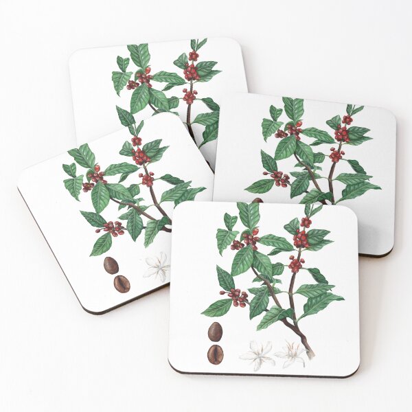 Item preview, Coffee Plant Botanical Illustration designed and sold by Threeleaves.
