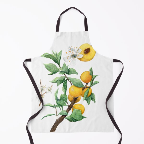 Item preview, Mirabelle Plum Tree Botanical Illustration designed and sold by Threeleaves.