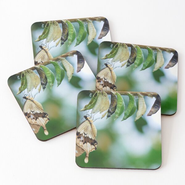 Item preview, Butterfly, buds, nice pic designed and sold by kingoo82.