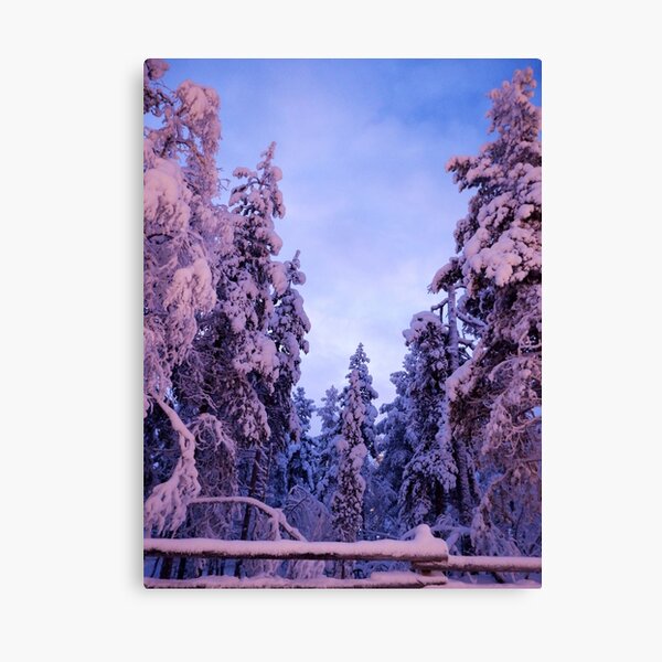 Item preview, Snowy Forest designed and sold by photobytableau.