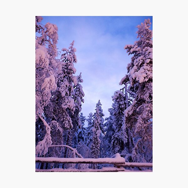 Item preview, Snowy Forest designed and sold by photobytableau.