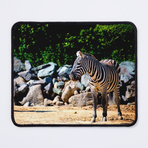 Item preview, Zebra Crossing designed and sold by DoodleBugImages.