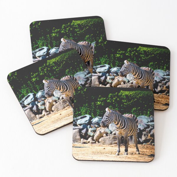 Item preview, Zebra Crossing designed and sold by DoodleBugImages.