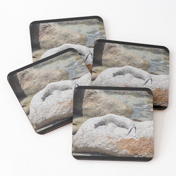 Item preview, Granite Island Carved Seal designed and sold by Clintpix.