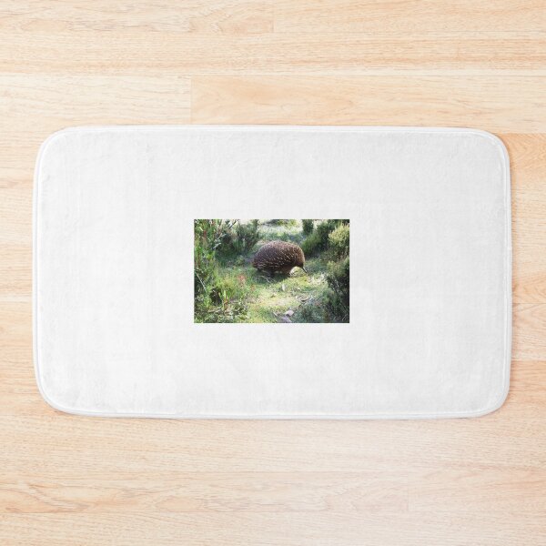 Item preview, Echidna designed and sold by Tim Coleman.