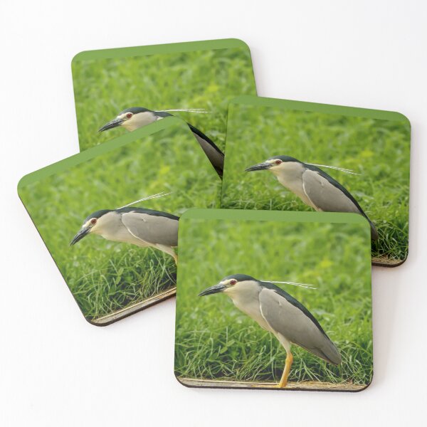 Item preview, Night-heron designed and sold by Guardi71.