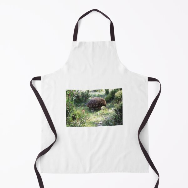 Item preview, Echidna designed and sold by Tim Coleman.