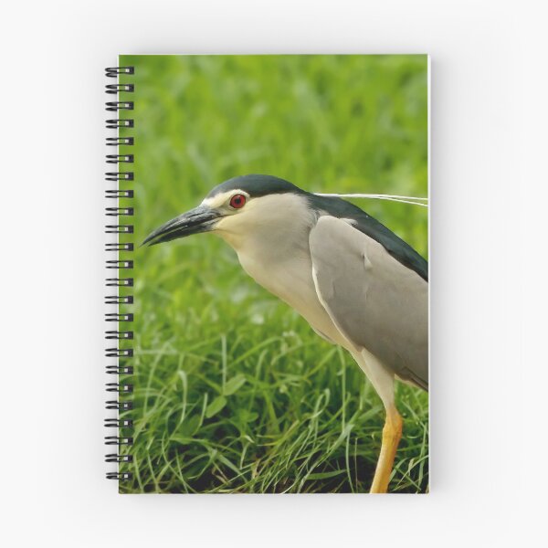 Item preview, Night-heron designed and sold by Guardi71.
