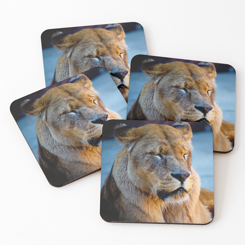 Item preview, Coasters (Set of 4) designed and sold by DoodleBugImages.