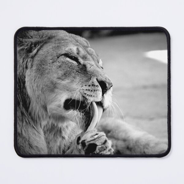 Item preview, Paws Up! (Monochrome) designed and sold by DoodleBugImages.