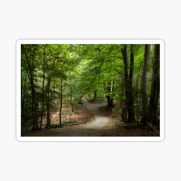 The Emerald Pathway Sticker