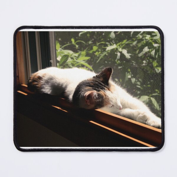 Item preview, cat in sunny window designed and sold by Lynne Prestebak.