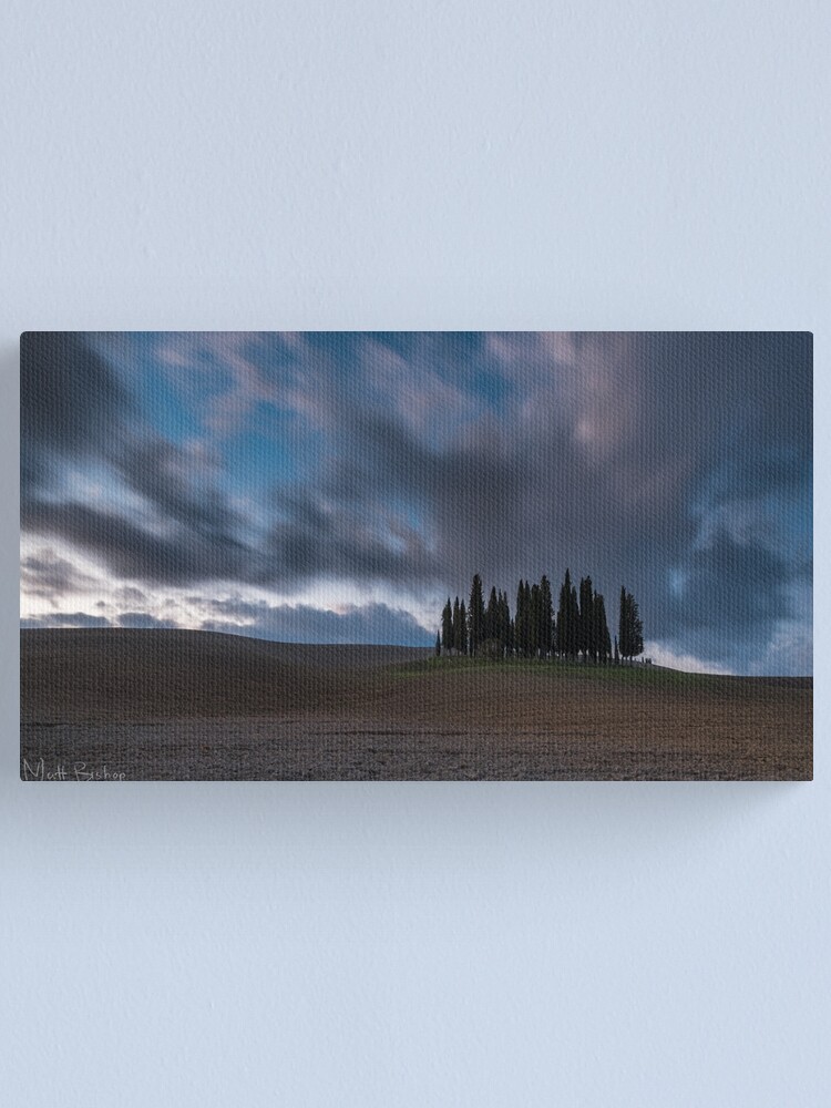Alternate view of cipressi Canvas Print