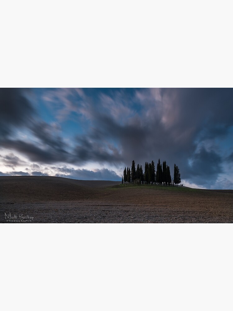 cipressi by alexsupertramp