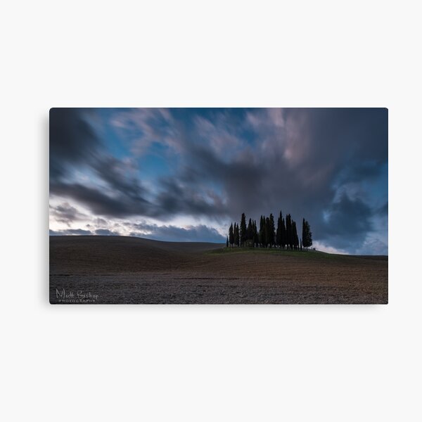 cipressi Canvas Print